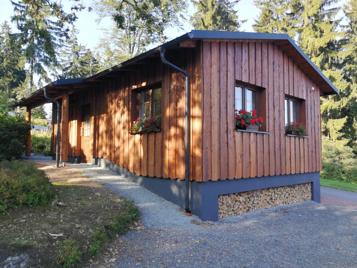 アルテンベルクHaus Waldfriedenアパートメント エクステリア 写真